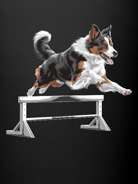 Agility