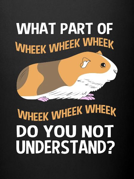 Guinea pig