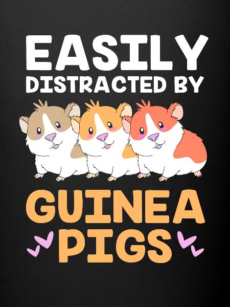 Guinea pig