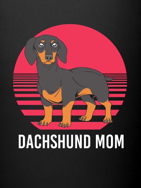 Dachshund