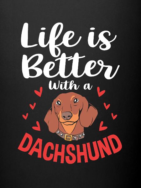 Dachshund