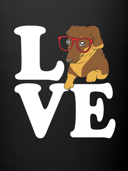 Dachshund