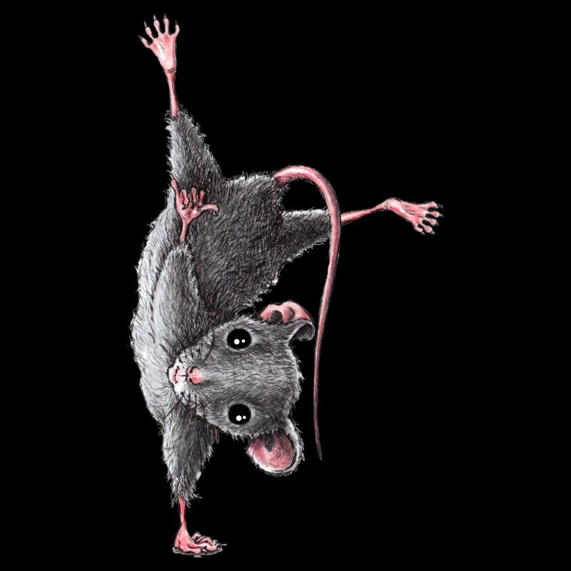 Mouse