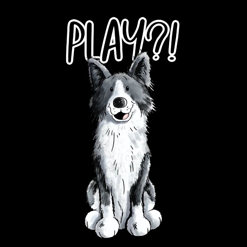 Border Collie Play