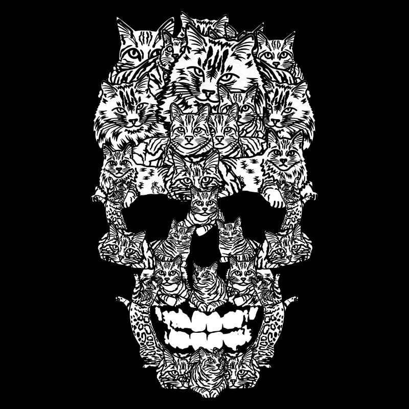 Tête de mort des chats