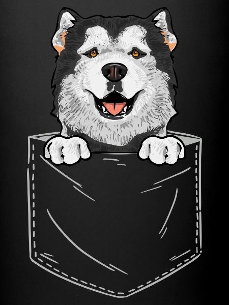 Chien Malamute d’Alaska