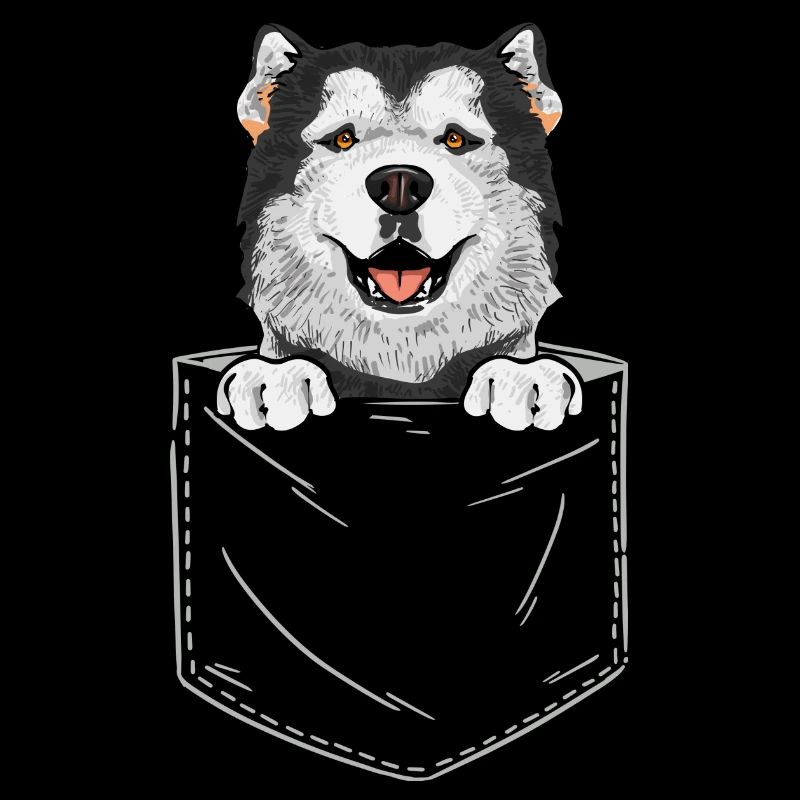 Alaskan Malamute Dog