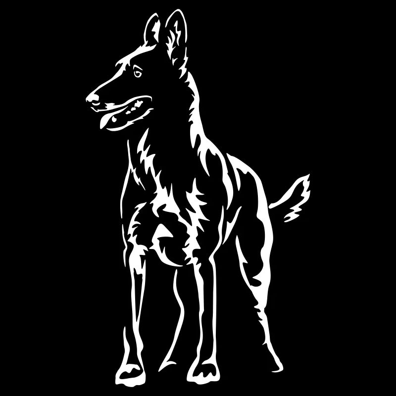 Malinois « Black Edition »