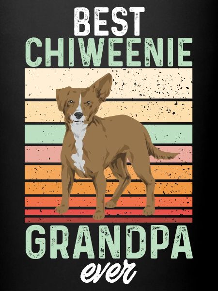 Chiweenie Chien