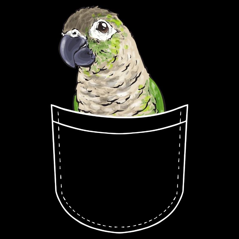 Molinasittich Papagei Vogel Sittich