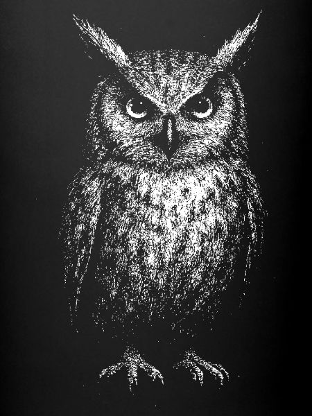 An eagle owl