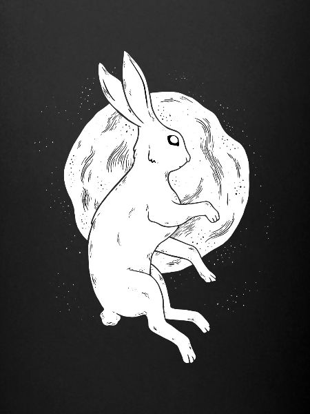 Lièvre et lune Tshirt
