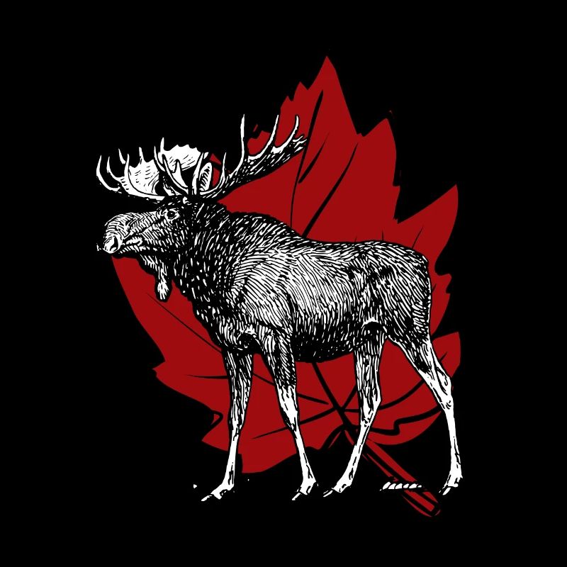 Canada moose