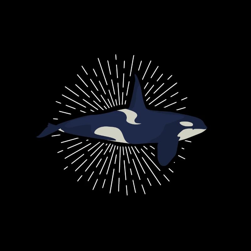 Orcinus orca Schwertwal Killerwal Orca Orka