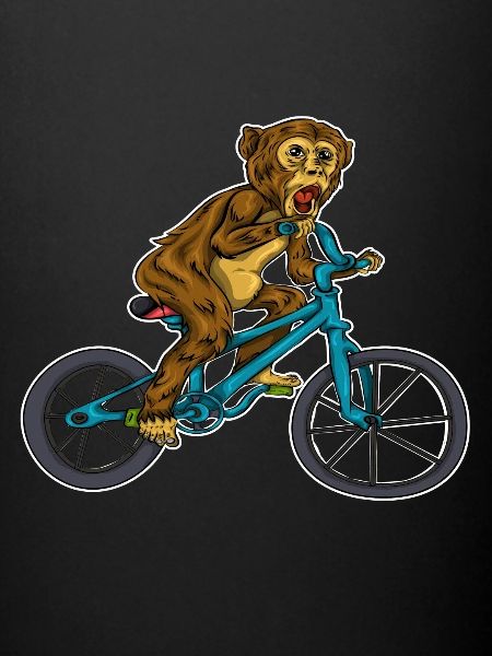 Vélo singe sport
