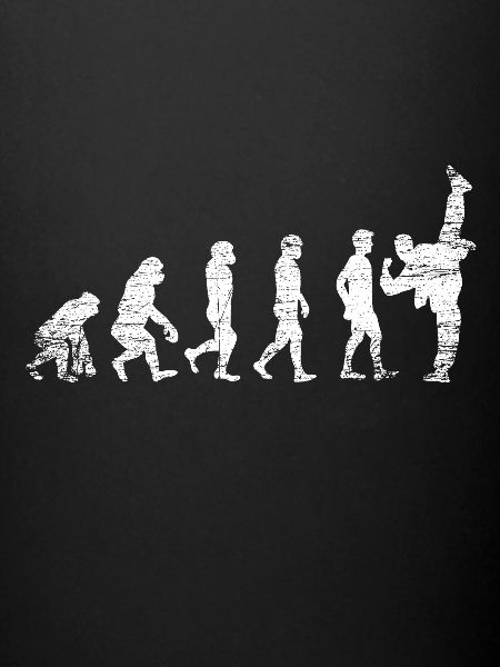 Karate Evolution Sport
