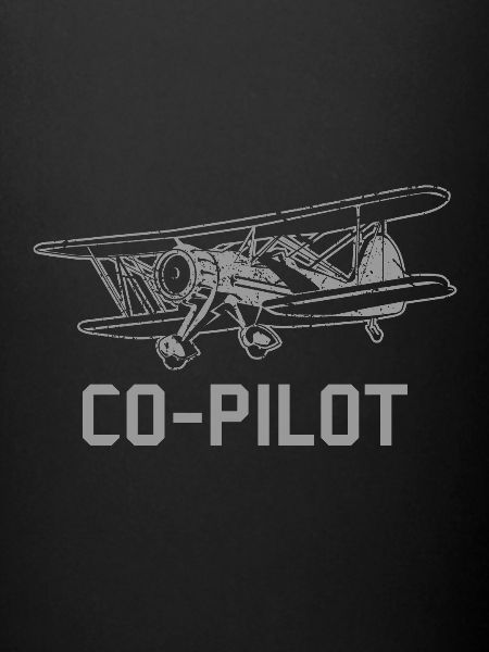 Co-pilot pilot flying