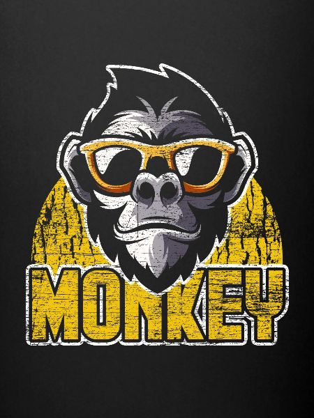 Monkey evolution animals