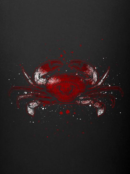 Crabe océan mer