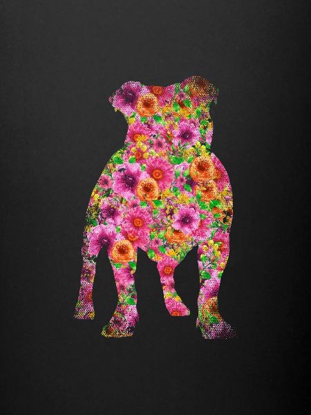 Bouledogue