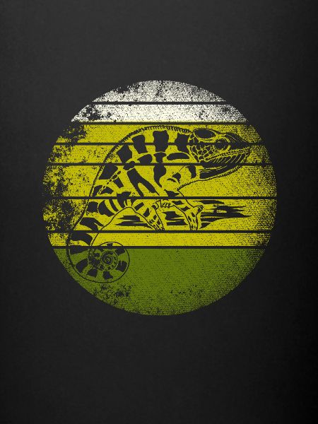 Chameleon reptile