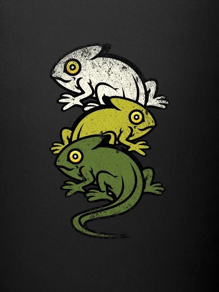 Chameleon