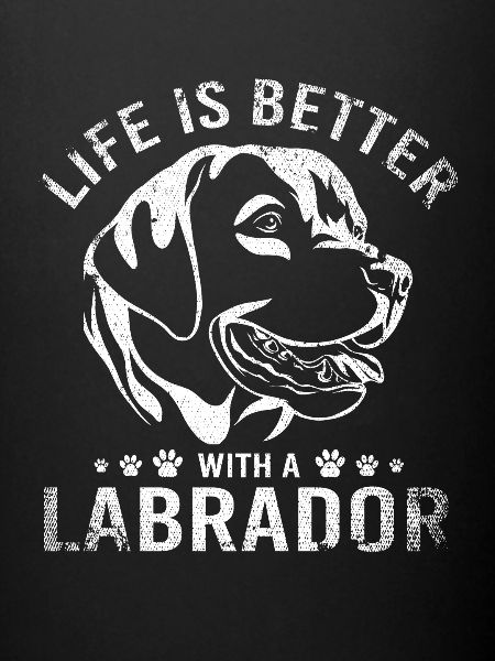 Labrador dog