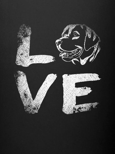 Labrador