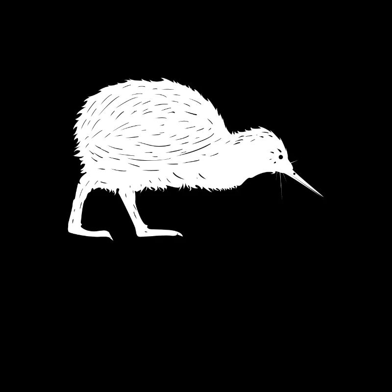 Neuseeland Kiwi Geschenk