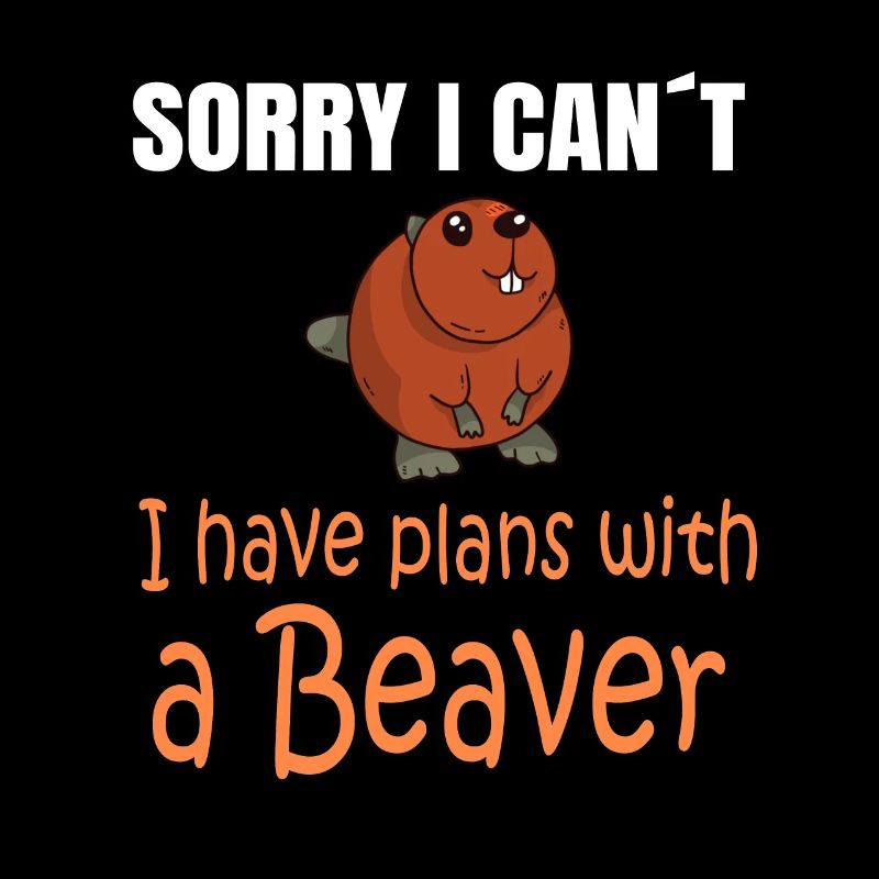 BEAVER: Plans with a Beaver