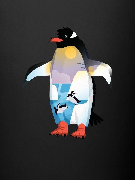 Pinguin Penguin Gift