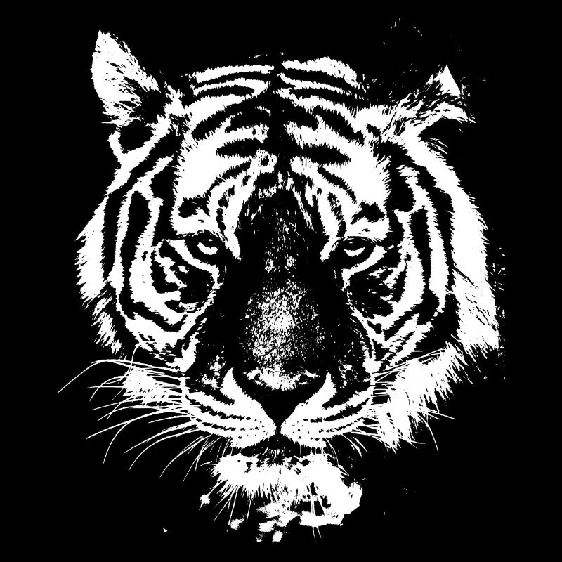 tigre