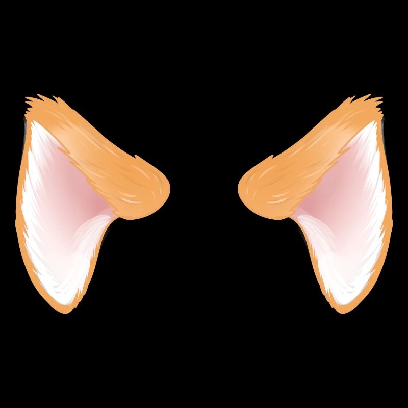 Oreilles de chat d'un chat orange