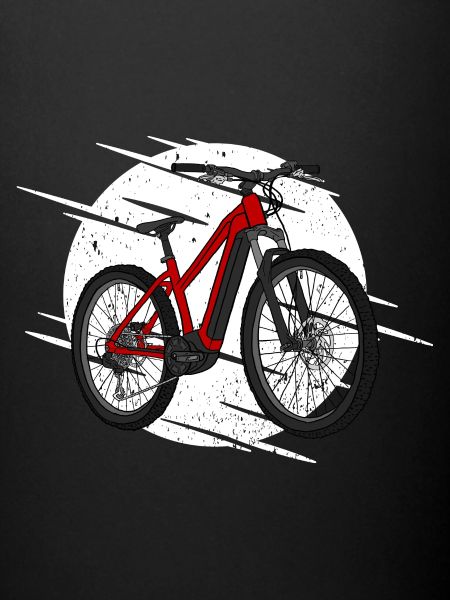 E Vélo vélo