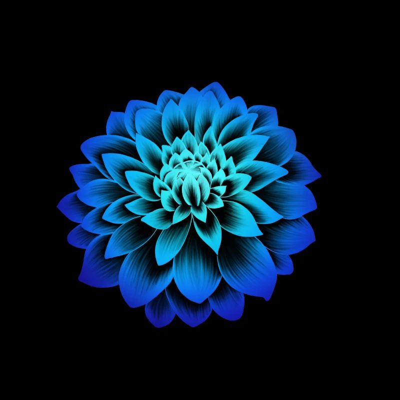 Pfingstrose blau
