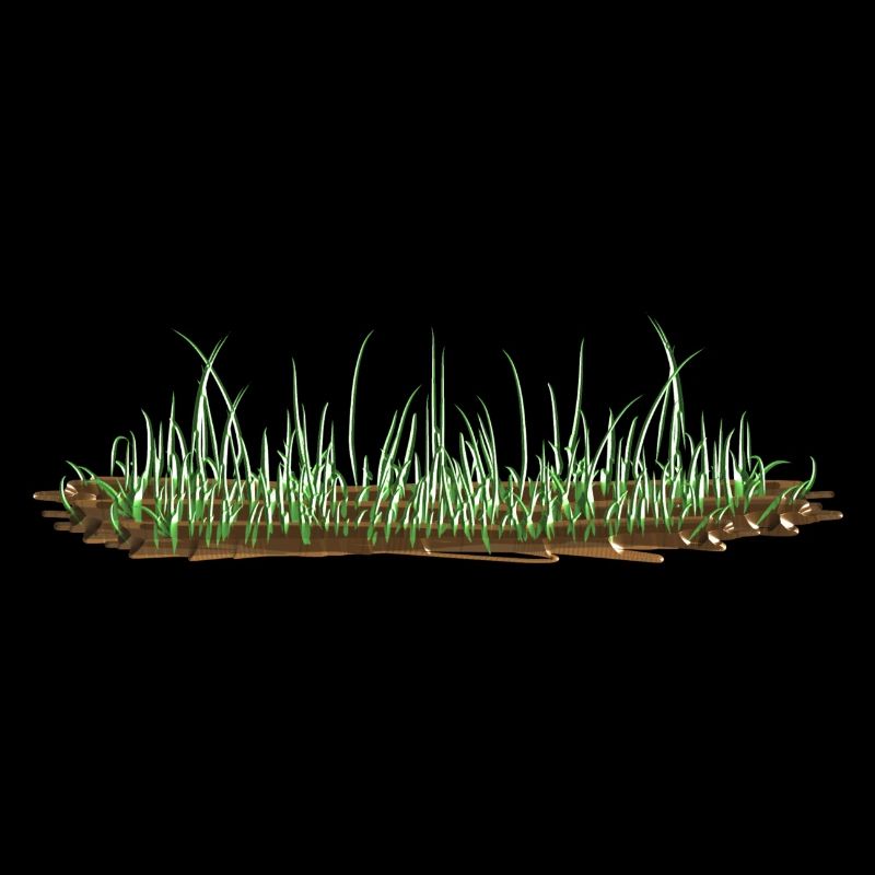 Grass soil natural green