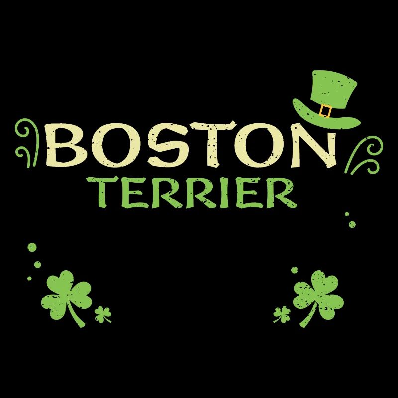 Boston Terrier - Saint-Patrick