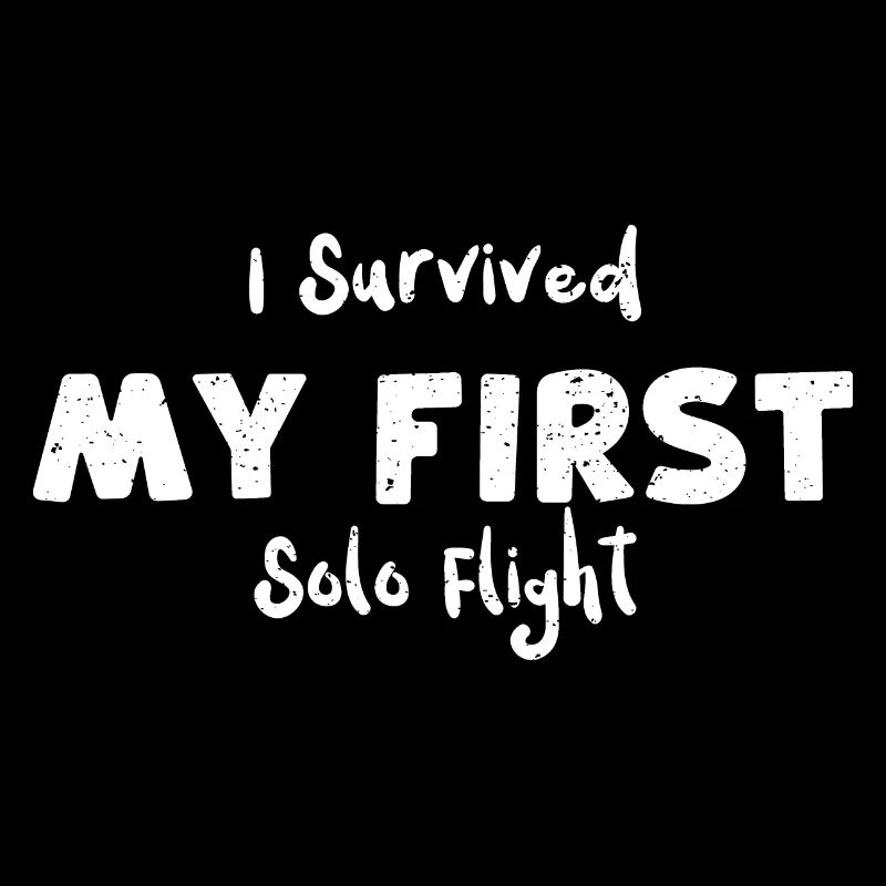 I Survived My First Solo Flight