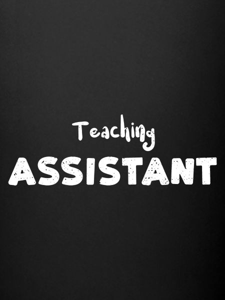 Teaching Assistant - Teacher