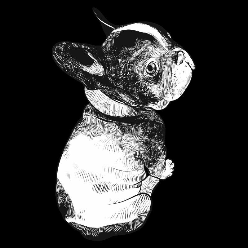 Mignon bébé bouledogue chiot chien fourrure mignon