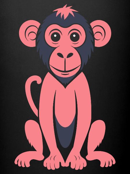 Baboon monkey