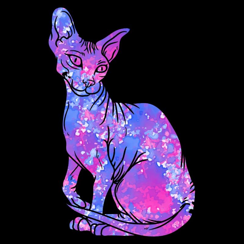 Sphynx Cat Hairless Galaxy Kitty