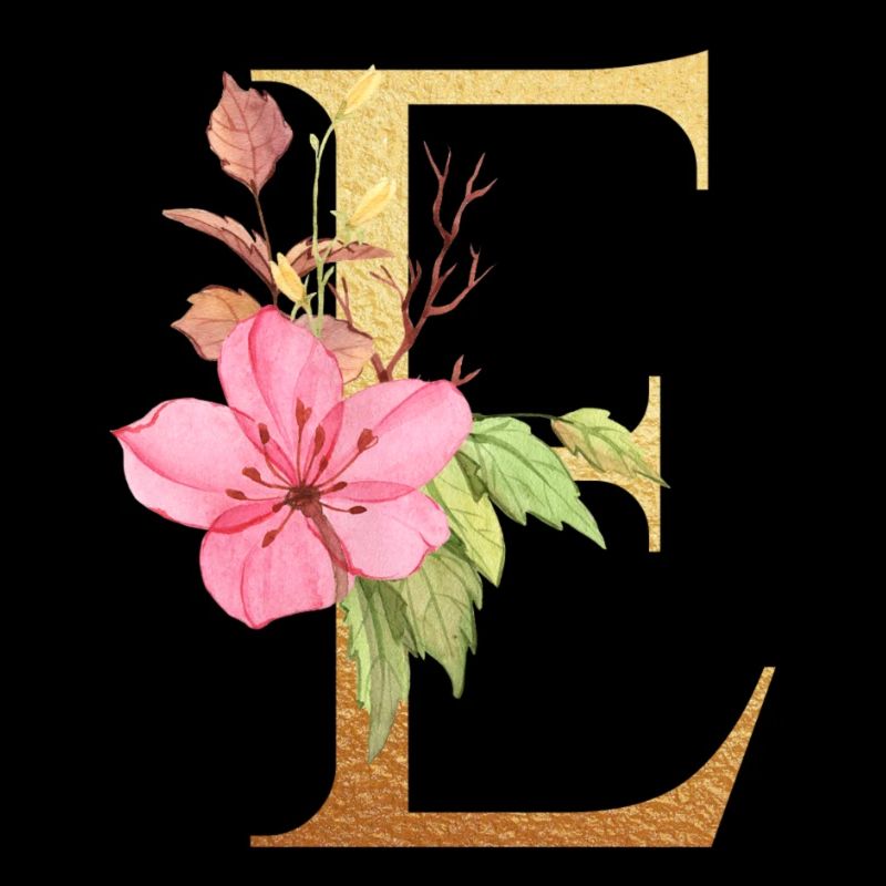 Lettre e