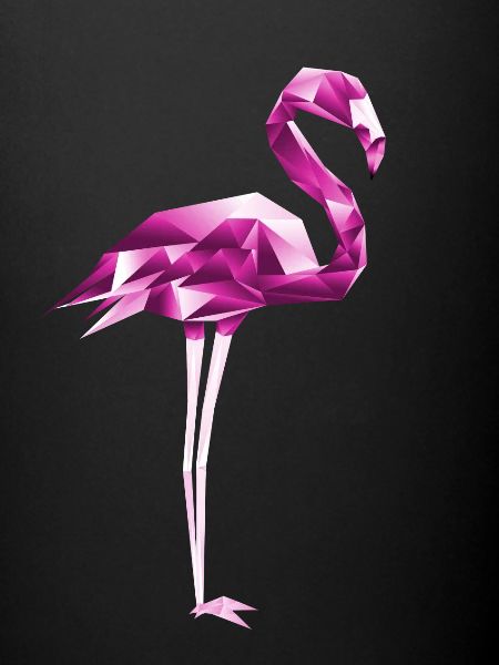 Flamingo Rose