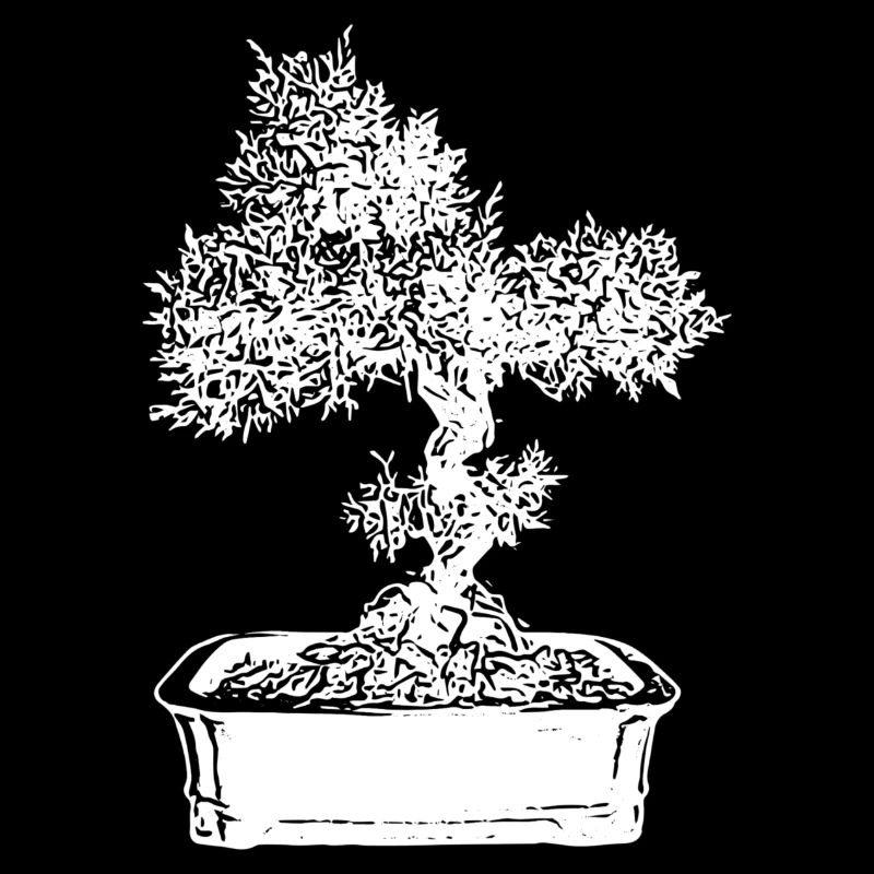 Bonsaï