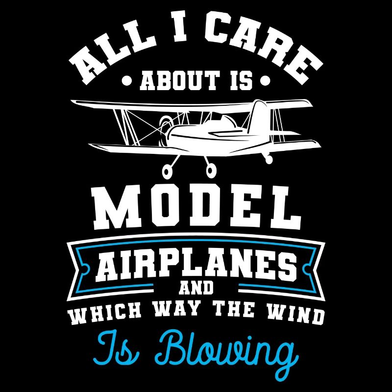 Modellflugzeug Flugzeug Pilot Modell