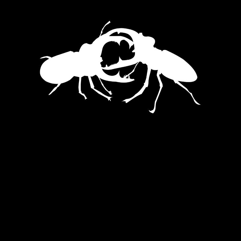 Hirschkäfer Insekten Kampf