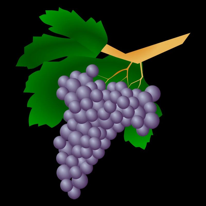 Grapes