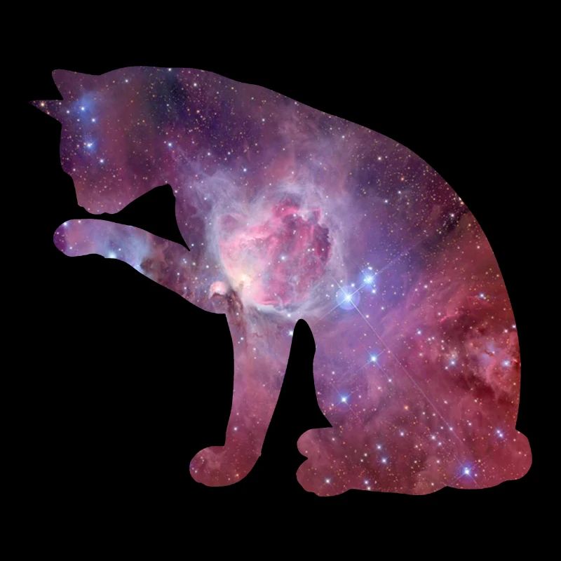 Cat universe