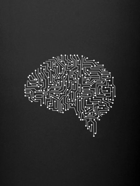 Brain circuit white